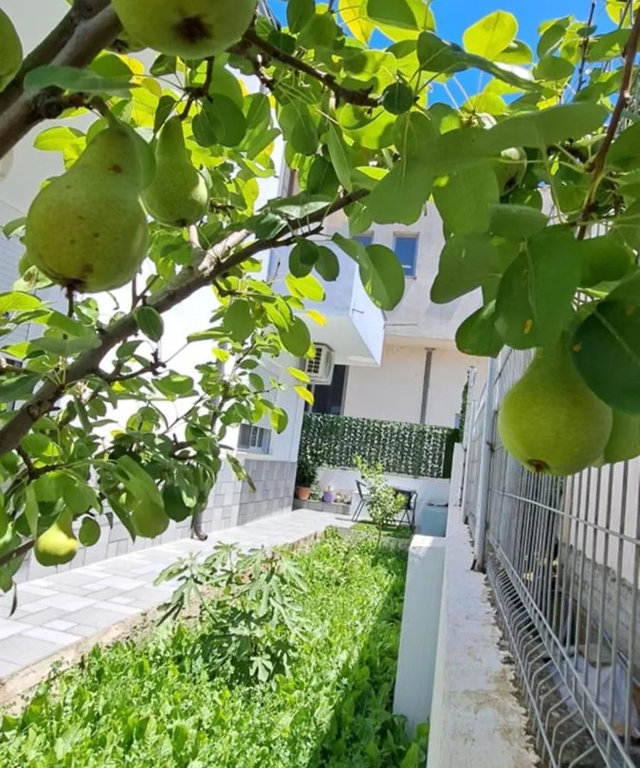 Villa Likaj Berat