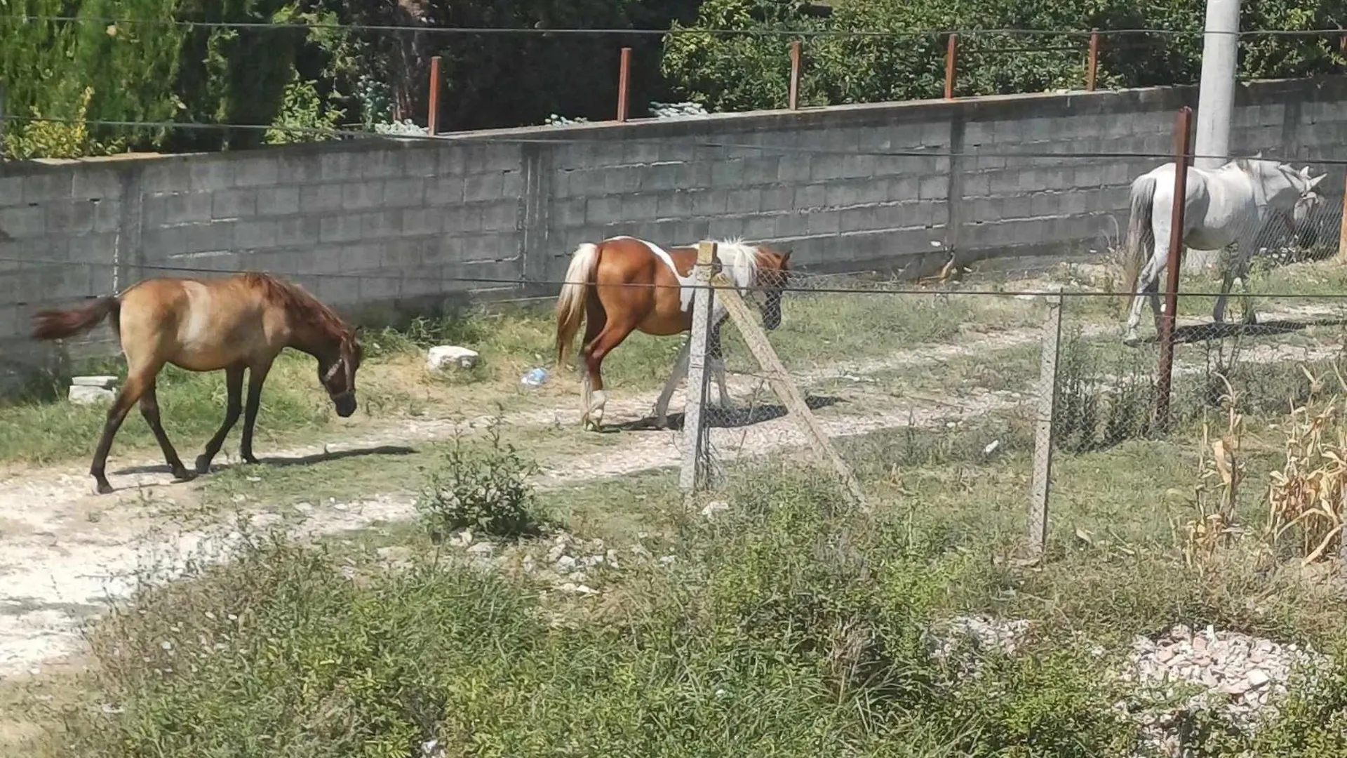 Villa Likaj Berat Albania